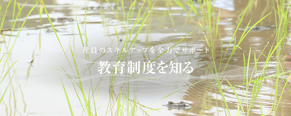 教育制度を知る